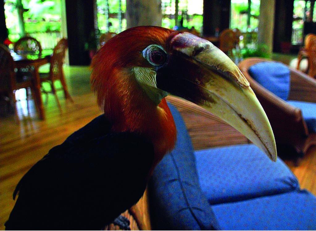 Tufi Resort エクステリア 写真