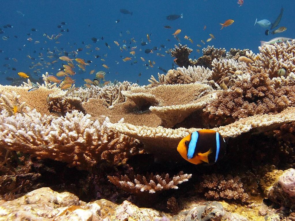 Tufi Resort エクステリア 写真