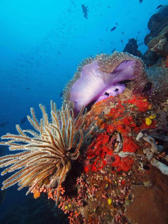 Tufi Resort エクステリア 写真